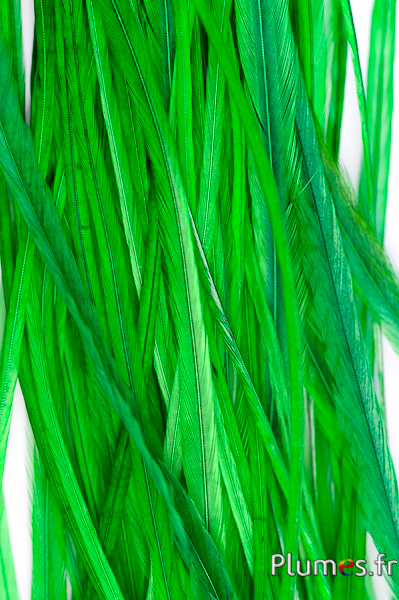 Coq rooster - 25-30 cm - vert
